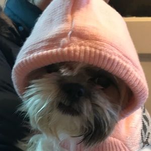 Meet your Posher, Maria